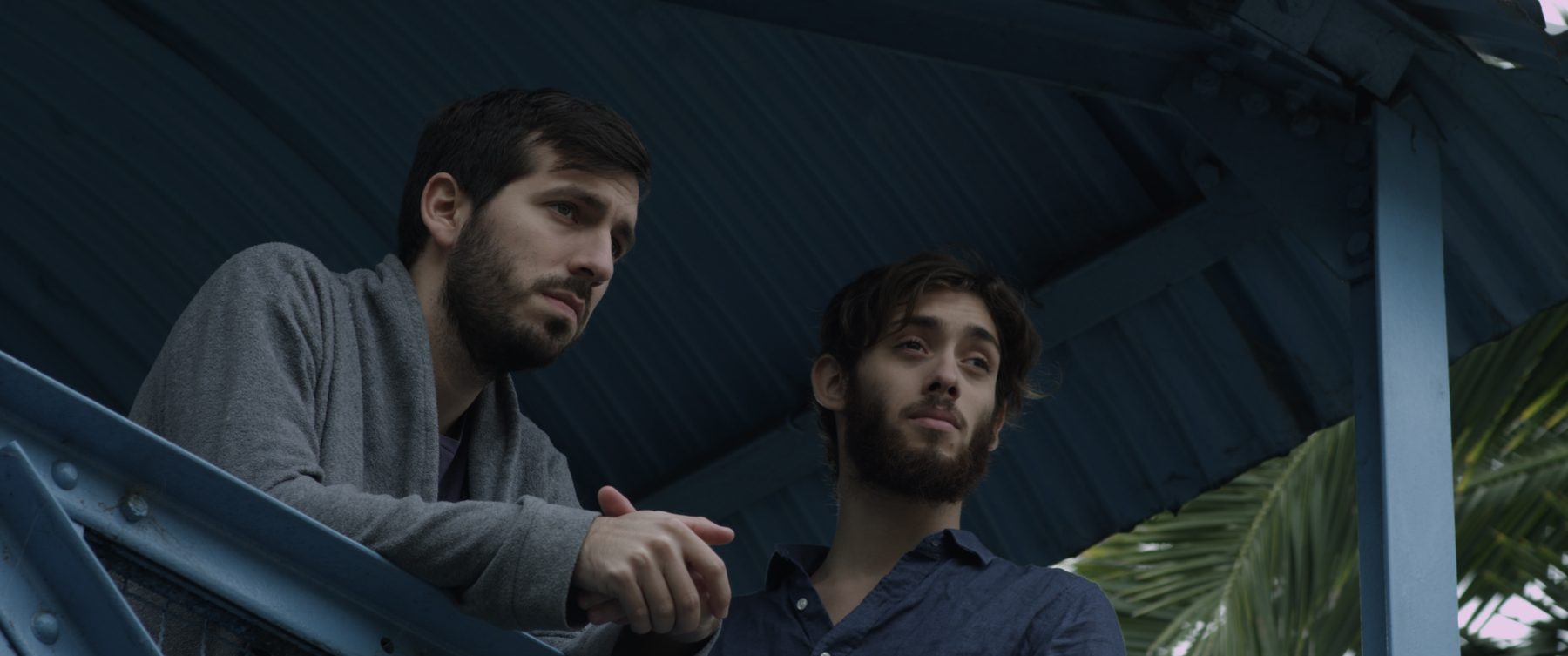 Two men talking outdoors, among plants and afternoon light